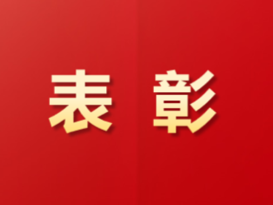 祝賀！這些青年集體和個(gè)人榮獲中國(guó)物流表彰！